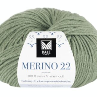 Merino 22